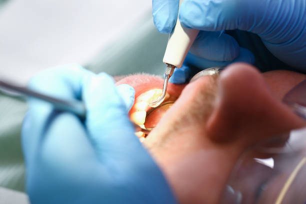 Best Emergency Orthodontic Repairs in Wabasso, FL